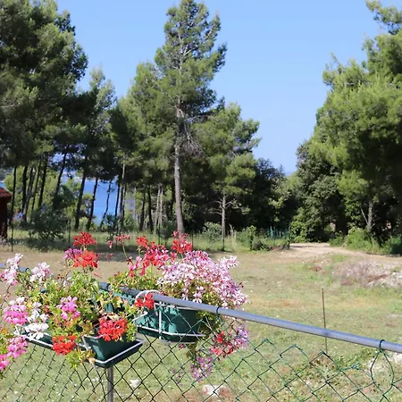 By The Sea Zuljana, Peljesac - 10207 Žuljana